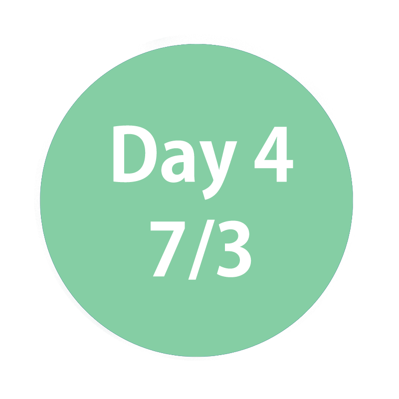day4